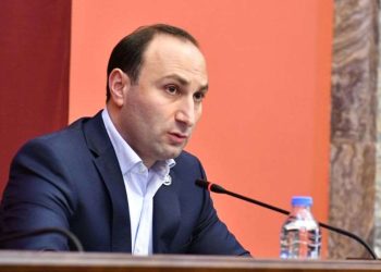 ბავშვები თვითონ ვერ ხვდებიან, რა არის მათთვის სასარგებლო და მავნე, ამიტომ სახელმწიფომ უნდა დაარეგულიროს ეს საკითხები – ანრი ოხანაშვილი