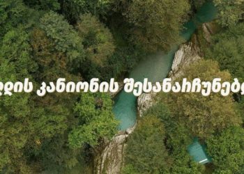 “ბალდის კანიონის შესანარჩუნებლად” – დღეს, 16:00 საათზე მარტვილის მერიასთან აქცია გაიმართება