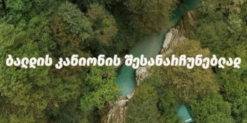 “ბალდის კანიონის შესანარჩუნებლად” – დღეს, 16:00 საათზე მარტვილის მერიასთან აქცია გაიმართება