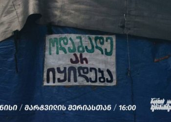 “ბალდის კანიონის შესანარჩუნებლად” – მარტვილში აქცია დაანონსდა