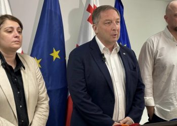 ალექსი პეტრიაშვილი პარტია „დროას“ შეუერთდა