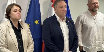 ალექსი პეტრიაშვილი პარტია „დროას“ შეუერთდა