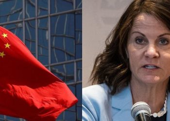 ჩინეთის საელჩო ანაკლიის პორტთან დაკავშირებით აშშ–ის ელჩის განცხადებას პასუხობს