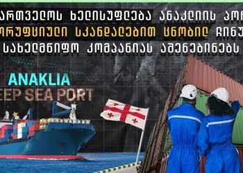 როდის და რაშია მხილებული “ოცნების” რჩეული ჩინური კომპანია? – ბრალდებათა სია