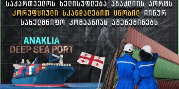 როდის და რაშია მხილებული “ოცნების” რჩეული ჩინური კომპანია? – ბრალდებათა სია