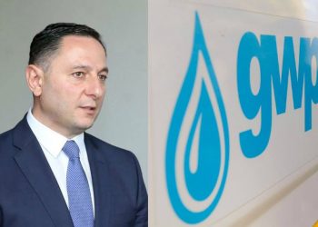 რა მუხლებით დაიწყო გამოძიება და რას არ ამბობს გომელაურის უწყება?