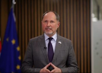 ინდივიდუალური სანქციების სია წევრმა სახელმწიფოებმა უნდა წარადგინონ – ელჩი