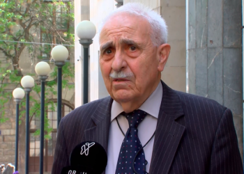 წილოსანის დანაშაული გაცილებით უფრი მძიმეა, ვიდრე ის, რომ “მონა” დაუძახეს – იულონ გაგოშიძე