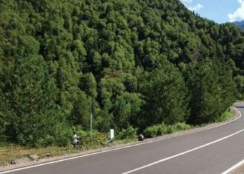 ლეჩური-ომალოს მონაკვეთზე გარკვეული სახის ავტოტრანსპორტის მოძრაობა აკრძალულია