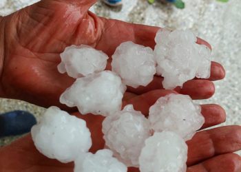 “გლეხის შრომა განადგურებულია” – ძლიერი სეტყვა კახეთში