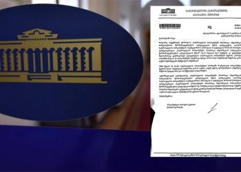 გურამ მაჭარაშვილის მოთხოვნით, პარლამენტმა აკრედიტაცია მაკა ჩიხლაძესაც შეუჩერა