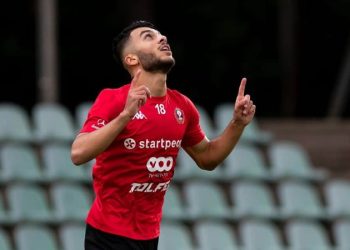 გიორგი მიქაუტაძე ევროპის ჩემპიონატის ჯგუფური ეტაპის საუკეთესო ბომბარდირია