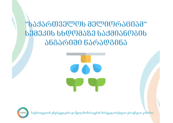 სემეკის საჯარო სხდომაზე „საქართველოს მელიორაციამ“ საქმიანობის ანგარიში  წარადგინა