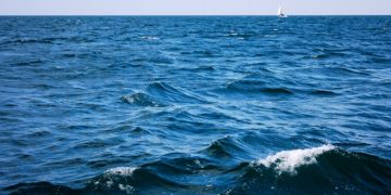 შავი ზღვის დაბინძურების ფაქტი გამოვლინდა