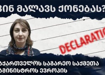 9 უძრავი ქონება და ხელფასი – რა არ ჩაწერა მაღალჩინოსანმა დეკლარაციაში