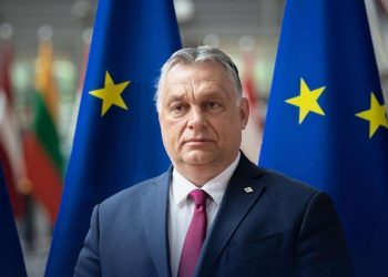 თუ ევროკავშირისა და აშშ-ის არჩევნებში მშვიდობისმოყვარე ხალხი გაიმარჯვებს, უკრაინაში მშვიდობა შესაძლებელი იქნება –