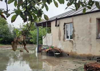 დატბორილია სახლები, მოგლეჯილია ნარგავები – ლაგოდეხის მუნიციპალიტეტში უამინდობამ პრობლემები შექმნა