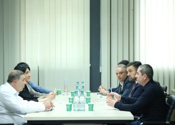 ცესკოს ხელმძღვანელი პირები „პატრიოტთა ალიანსის“ წარმომადგენლებს შეხვდნენ