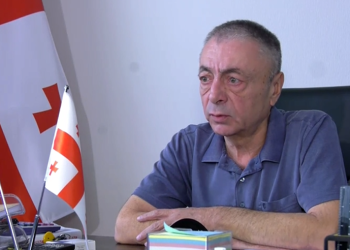 ,,იქნებ ლაპარაკიც აგვიკრძალონ პარლამენტში?”- “ოცნება” აშშ-ს პასუხობს