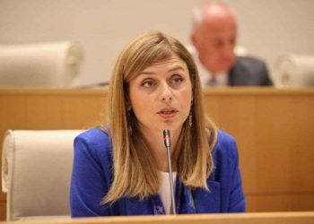 “როგორც ვირისგან წიხლი არ უნდა გეწყინოს, ასე არ მწყინს თქვენგან შეურაცხყოფა” – კამათი პარლამენტში