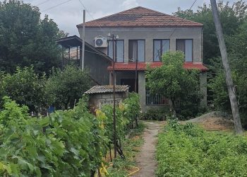 ,, განა ერთ მუზეუმს არ იმსახურებს?” – რას აქვეყნებს ბუბა კუდავა