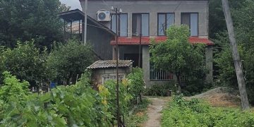 ,, განა ერთ მუზეუმს არ იმსახურებს?” – რას აქვეყნებს ბუბა კუდავა