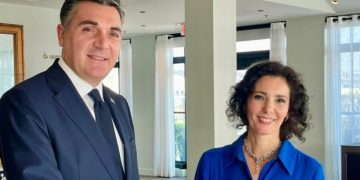 “[რუსული] კანონი ქვეყანას ევროპული ღირებულებებისგან აშორებს” – ბელგიის საგარეო საქმეთა მინისტრი დარჩიაშვილთან შეხვედრის შემდეგ