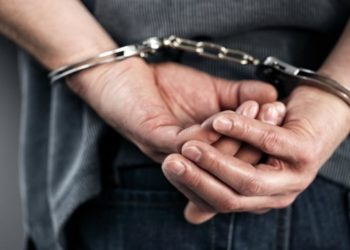 საგამოძიებომ გდდ-ის ინსპექტორი დააკავა – დეტალები