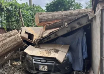 კრწანისში ძლიერმა ქარმა სახურავი 20-ზე მეტ საცხოვრებელ სახლს გადახადა