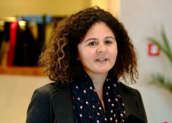 “იმისთვის, რომ მხარი დავუჭიროთ საქართველოს, მთავრობამ უნდა შეცვალოს კურსი” – საფრანგეთის ელჩი