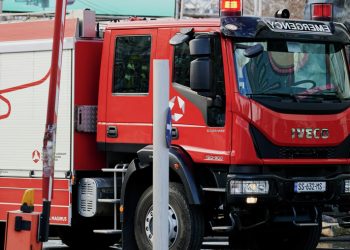 ზოოპარკის ტერიტორიაზე ხანძარი იყო