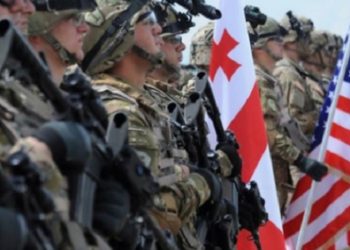 აშშ-მა საქართველოში სწავლება “ღირსეული პარტნიორი” განუსაზღვრელი ვადით გადადო