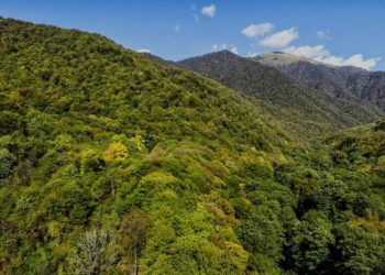 თიანეთის მუნიციპალიტეტში დაკარგული კაცი სახლში დაბრუნდა