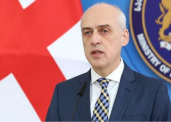 საქართველოსა და აშშ-ს ურთიერთობები არათუ უნდა დაუბრუნდეს იმ ბოლო ნიშნულს, სადაც იყო, არამედ ეს პარტნიორობა უნდა გავაძლიეროთ – ზალკალიანი