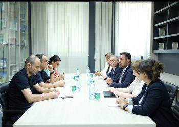 ცესკოში „მრავალეროვანი საქართველოს“ წარმომადგენლებთან სამუშაო შეხვედრა გაიმართა