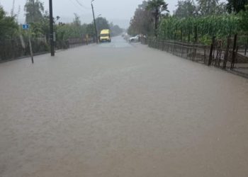 წალენჯიხაში უხვმა ნალექმა პრობლემები შექმნა