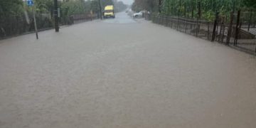 წალენჯიხაში უხვმა ნალექმა პრობლემები შექმნა