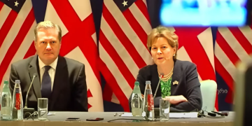 ვითარების გამოსასწორებლად პირველი ნაბიჯი საქართველოს მთავრობამ უნდა გადადგას – შაჰინის და ტერნერის ერთობლივი განცხადება