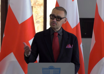 “ხელი შეუწყვიათ იმისათვის, რომ დაეკავებინათ” – ოდიშარია დე ფაქტო აფხაზეთის მიერ ქართველების დაკავებაზე