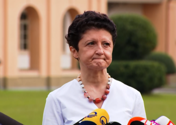 ,, ჩვენზე თქვენ ნუ ინერვიულებთ, გენც… ნიანგის ცრემლები თუ გაწვებათ, კაცებზე ან რამე სხვა თემაზე აღვარღვარეთ”  – წულუკიანი ოპოზიციონერ ქალებს