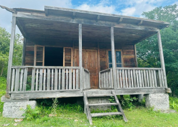 კულტურული მემკვიდრეობის დაცვის ეროვნული სააგენტო აკაკი შანიძის სახლ-მუზეუმის რეაბილიტაციას იწყებს