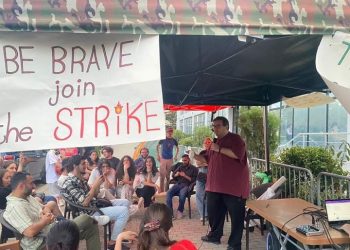 “სრული სიგიჟე! სრული სირცხვილი! თავად სახელმწიფოს გაუღია კარი ამ საზიზღარი, ამაზრზენი ბიზნესისთვის” – ლევან ლორთქიფანიძე