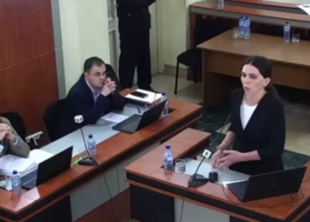 რა აკავშირებს მ.ჯავახიშვილის სიტყვებს, სამკაულს, ვარცხნილობას, გარეგნობას და “რუსულ კანონს”? – პარლამენტის წარმომადგენელი სასამართლოს