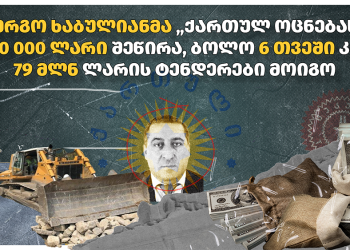 ვინ ჩუქნის ფულს ივანიშვილის პარტიას და რა ტენდერებში იმარჯვებენ მათი კომპანიები