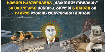 ვინ ჩუქნის ფულს ივანიშვილის პარტიას და რა ტენდერებში იმარჯვებენ მათი კომპანიები