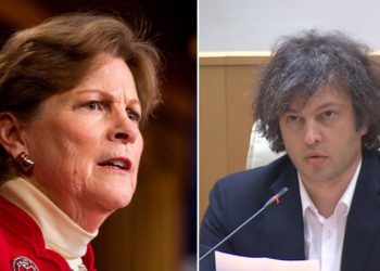 “მტრული, უცნაური, ბოდვა” – რას ამბობს საქართველოდან ვაშინგტონში დაბრუნებული ჯინ შაჰინი