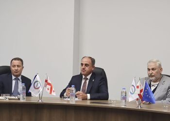 დავით ნარმანია Energy Community-ს ხელმძღვანელს შეხვდა