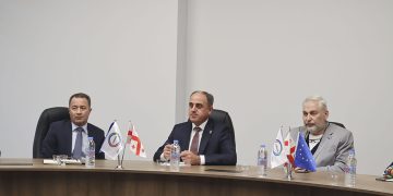 დავით ნარმანია Energy Community-ს ხელმძღვანელს შეხვდა