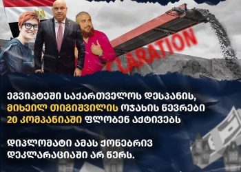 ეგვიპტეში საქართველოს დესპანის ოჯახის წევრების დამალული ქონება – საერთაშორისო გამჭვირვალობა