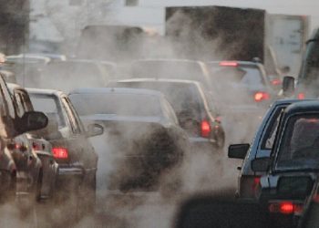 გამონაბოლქვის დადგენილ ნორმებთან შეუსაბამობისთვის ბოლო ერთ წელიწადში 7 193 პირი დაჯარიმდა